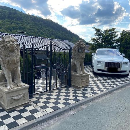 Willa Vip Haus Winterberg Zewnętrze zdjęcie
